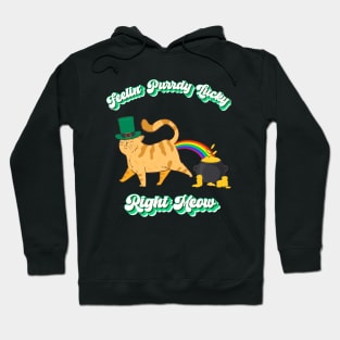 Feelin' Purrdy Lucky Right Meow, Funny Cat Leprechaun Rainbow Pot of Gold Hoodie